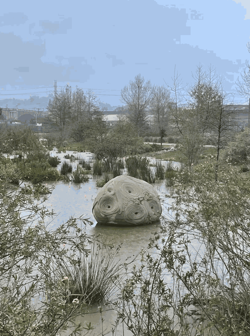 Art and the State of Water