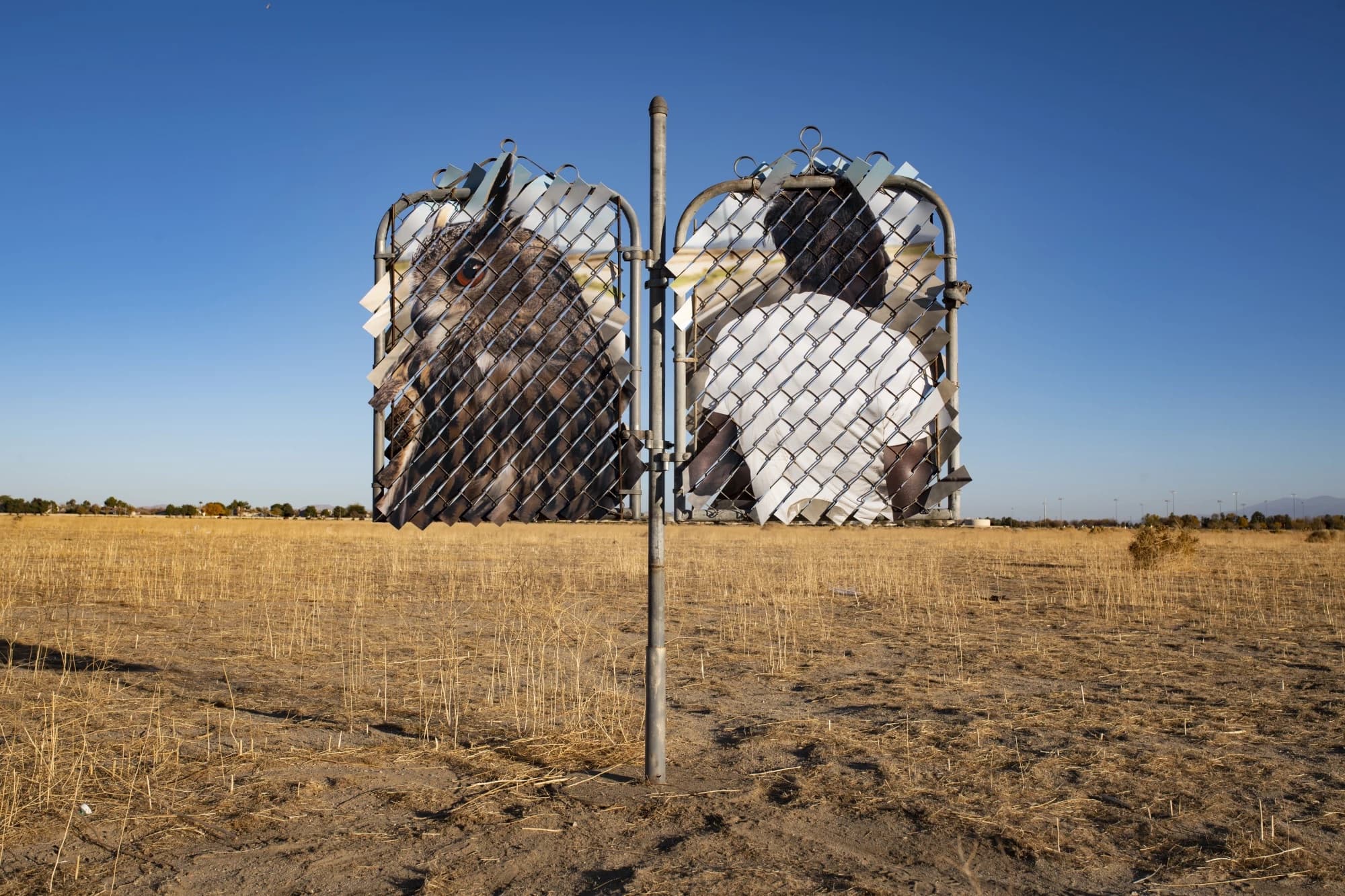 Los Angeles Times highlights Glen Wilson's art installations throughout LA