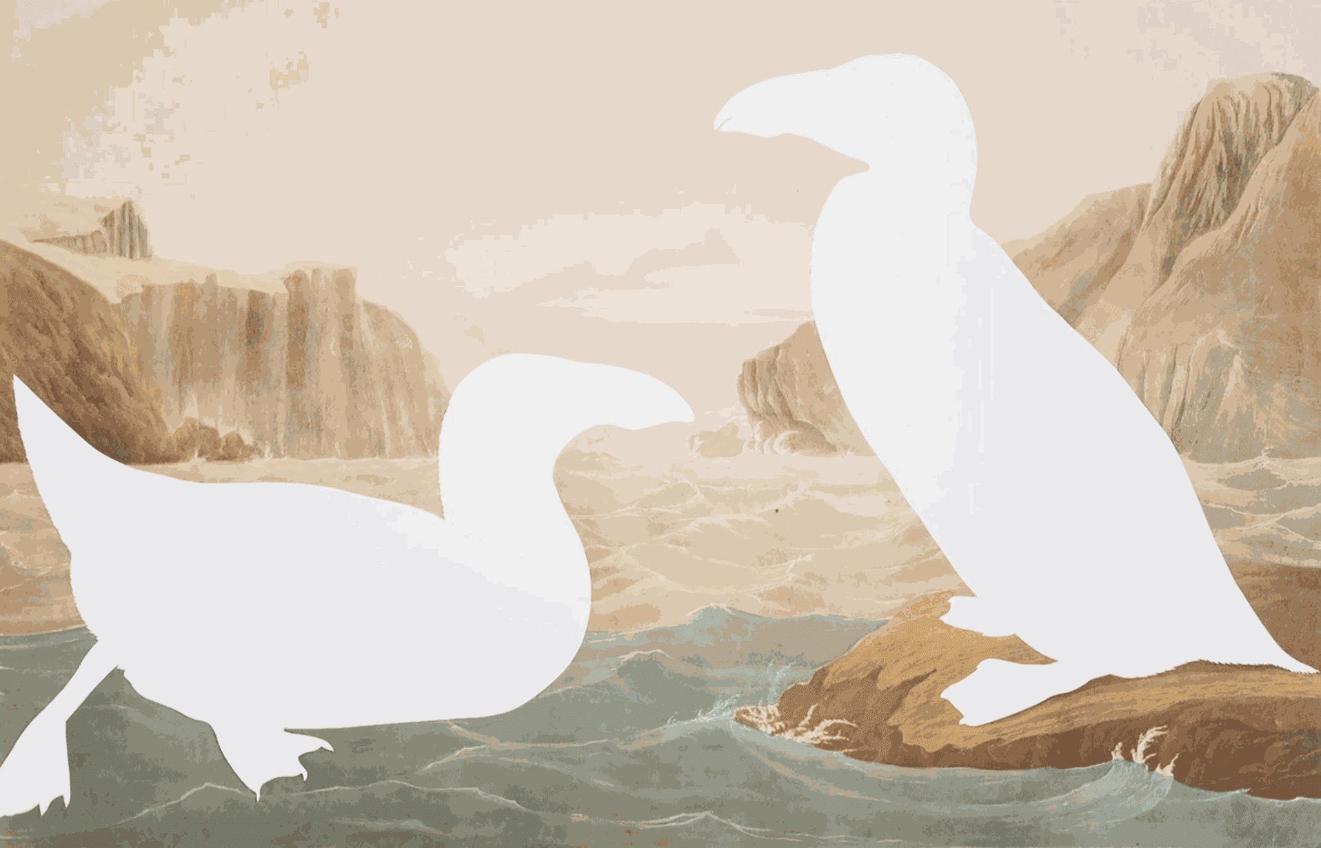 Ecology-Minded Artist Brandon Ballengée Pictures What We’ve Lost