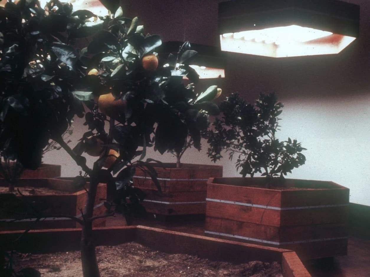 Helen Mayer Harrison, Newton Harrison Survival Piece #5: Portable Orchard at Whitney Museum of American Art