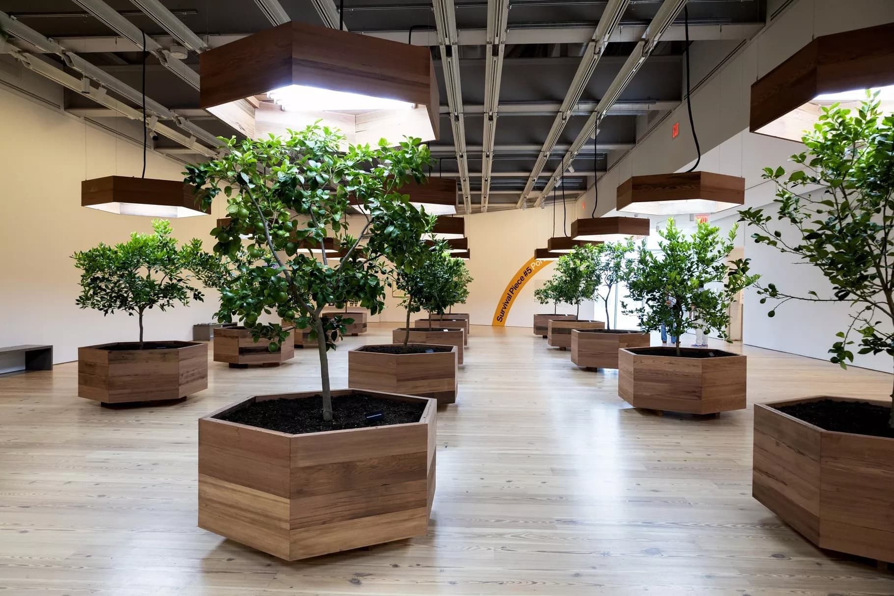 Late eco-artist couple The Harrisons install live citrus grove at the Whitney.