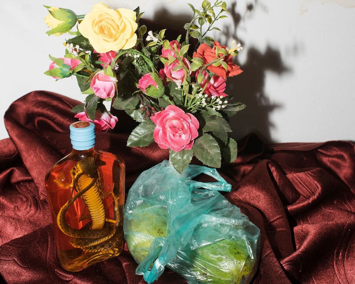 "Snake whisky still life and other stories" highlighted in "Frieze Los Angeles: Exhibitions to See" by Ocula Magazine