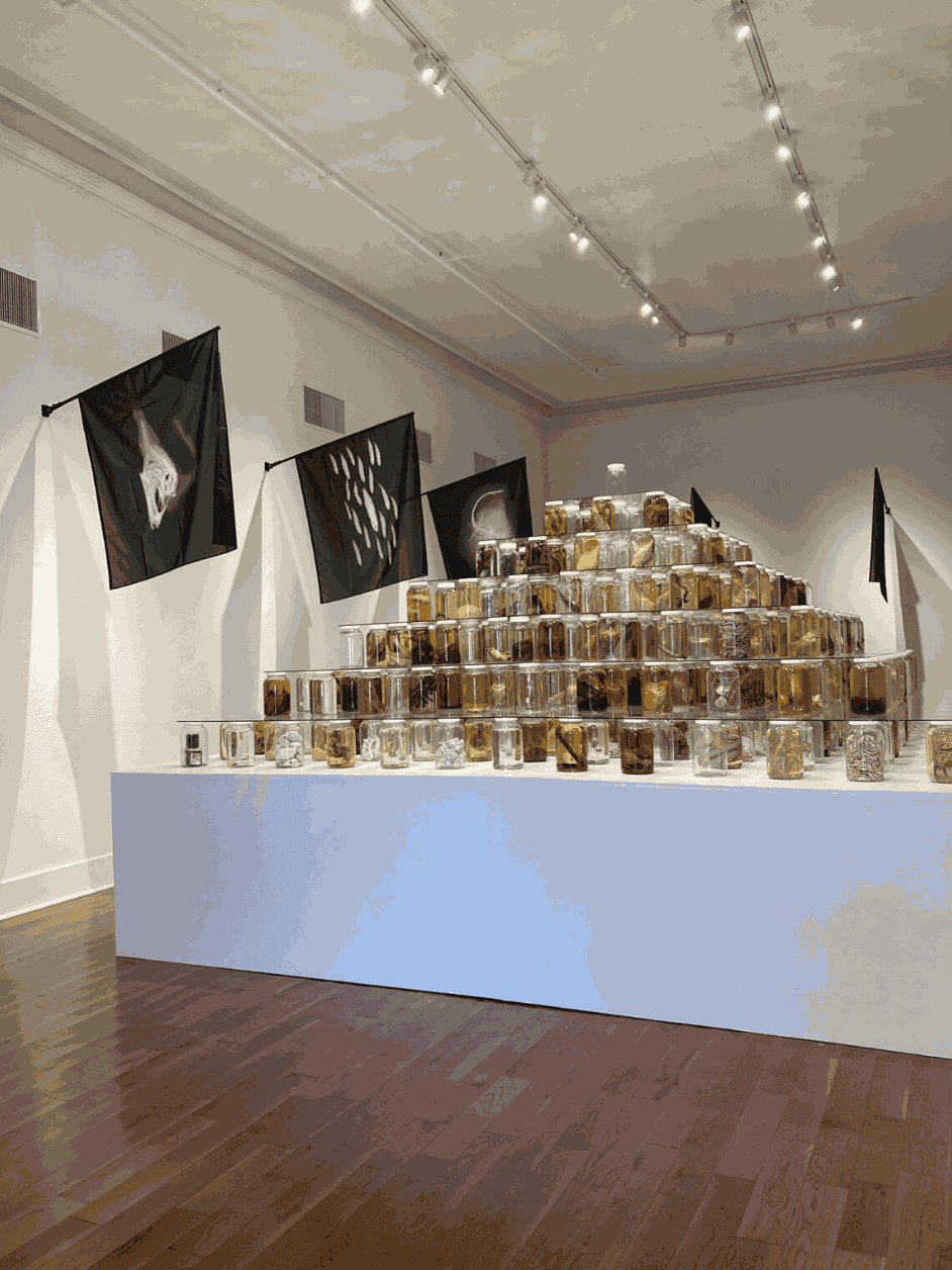Rediscovery & Reckoning: Marisol‘s Retrospective & Brandon Ballengée‘s “Sea of Lost Children”
