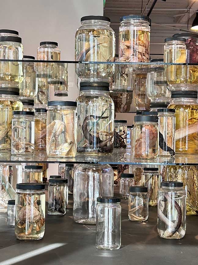 The Texas Biennial at DiverseWorks and the Blaffer Art Museum