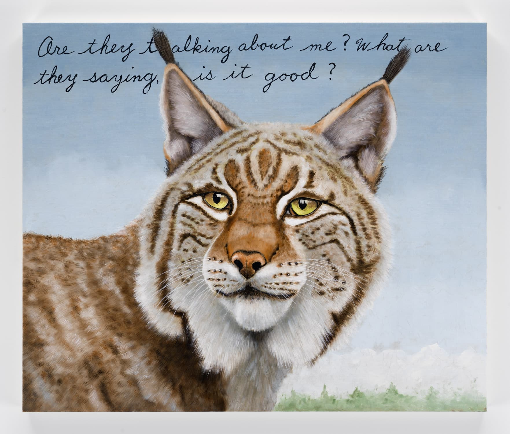 Sean Landers: Animal Portraits | VSF Dallas