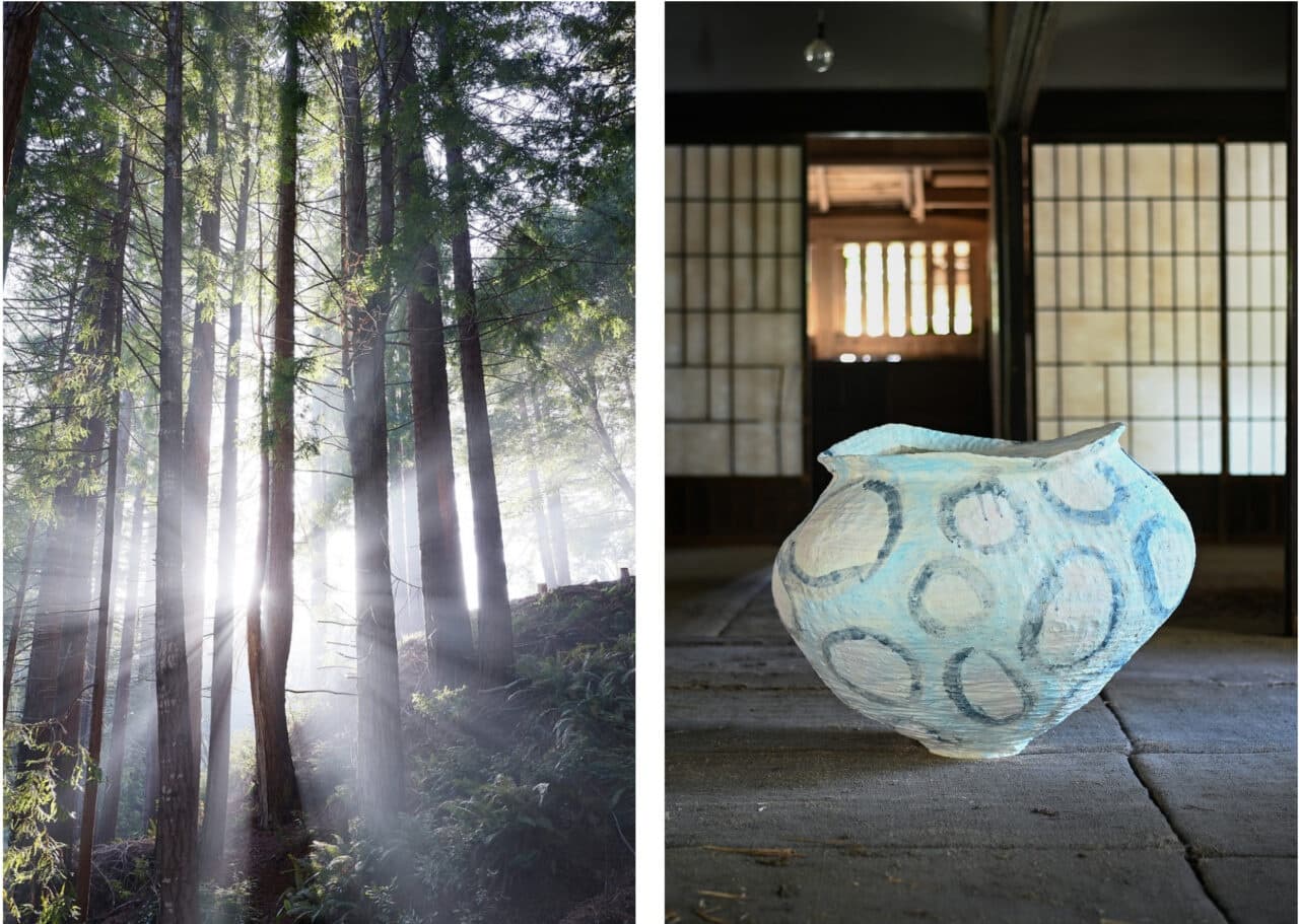 A Sculpture Exhibition Under the Shade of the Redwoods