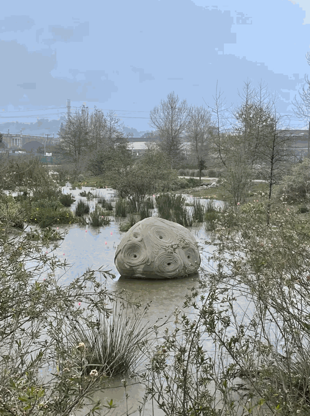 Art and the State of Water