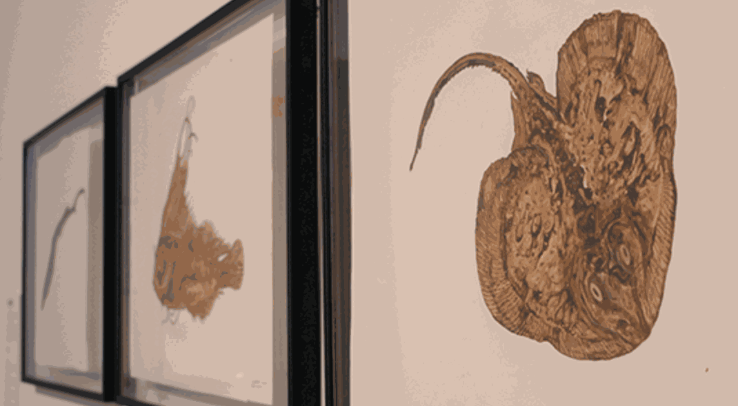 ‘Ghosts of the Gulf’: Art, ecology and the legacy of Deepwater Horizon highlighted at Moody event