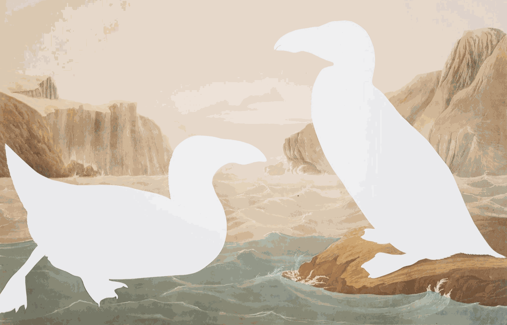 Ecology-Minded Artist Brandon Ballengée Pictures What We’ve Lost