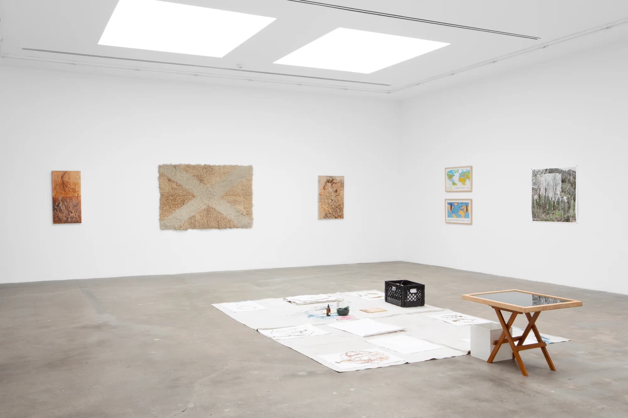 Eco-art Work: 11 Artists from 8 Countries, Curated by Newton Harrison - Salma Arastu, Brandon Ballengée, Barbara Benish, Nathalie Blanc, Tim Collins & Reiko Goto, Edgar Cruz, The Harrison Studio, Jorgge Menna Baretto, Aviva Rahmani, Åsa Sonjasdotter, Ruth Wallen, Yangkura