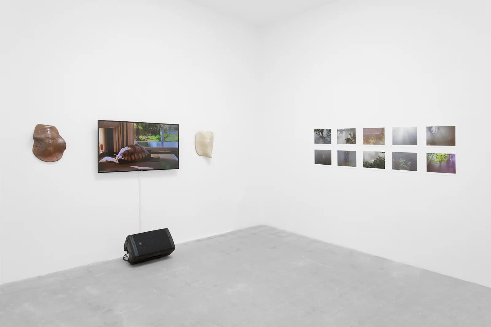Ben Thorp Brown, Cura