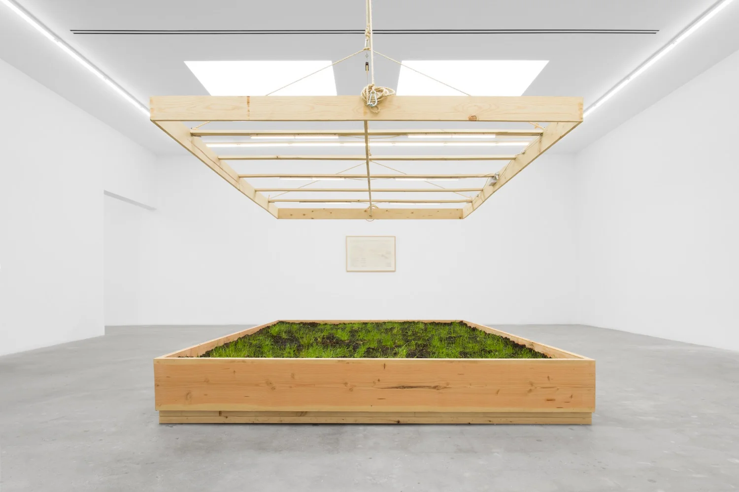The Harrison Studio, Survival Piece #1: Air, Earth, Water, Interface: Annual Hog Pasture Mix