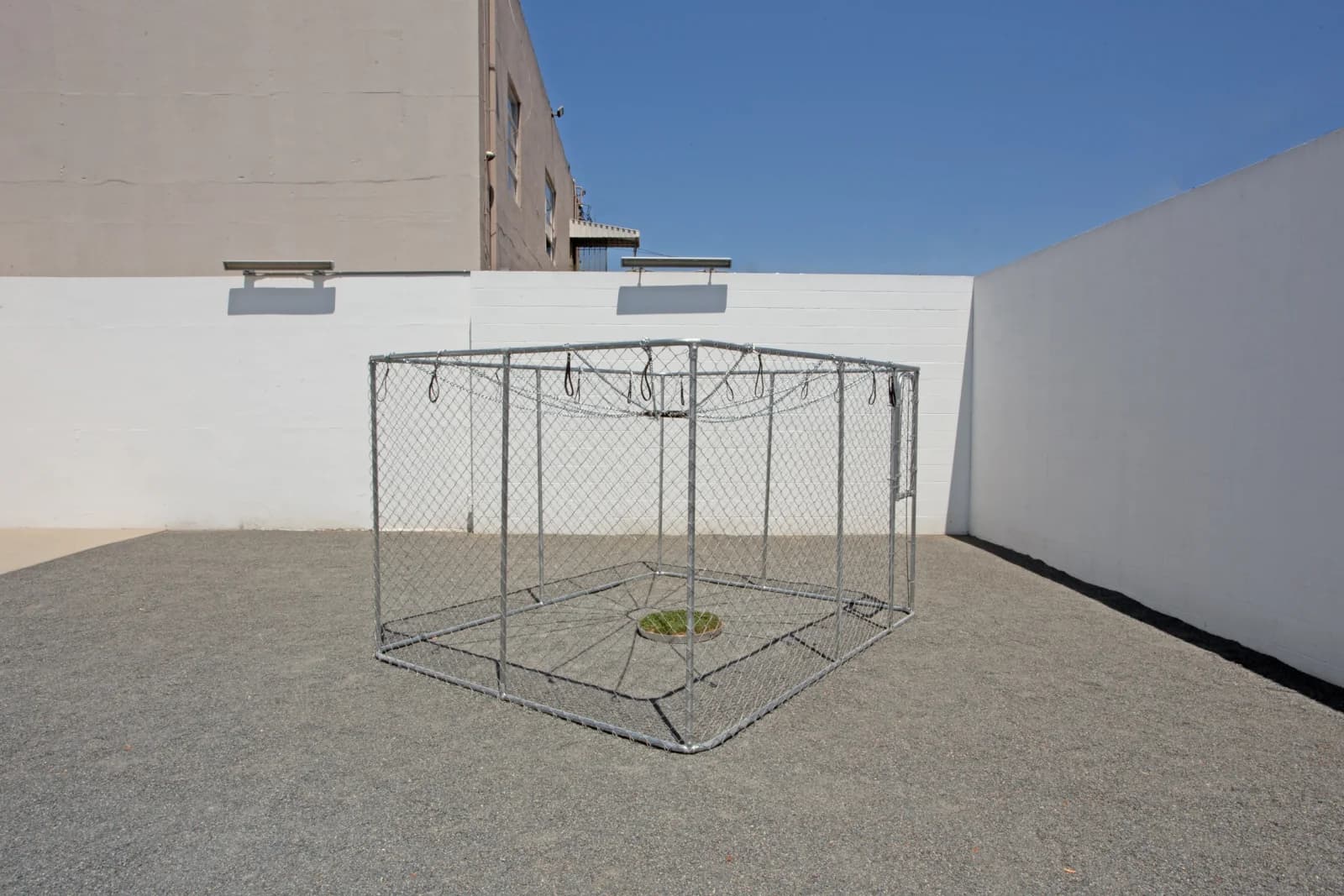Juan Capistran, Play Dead