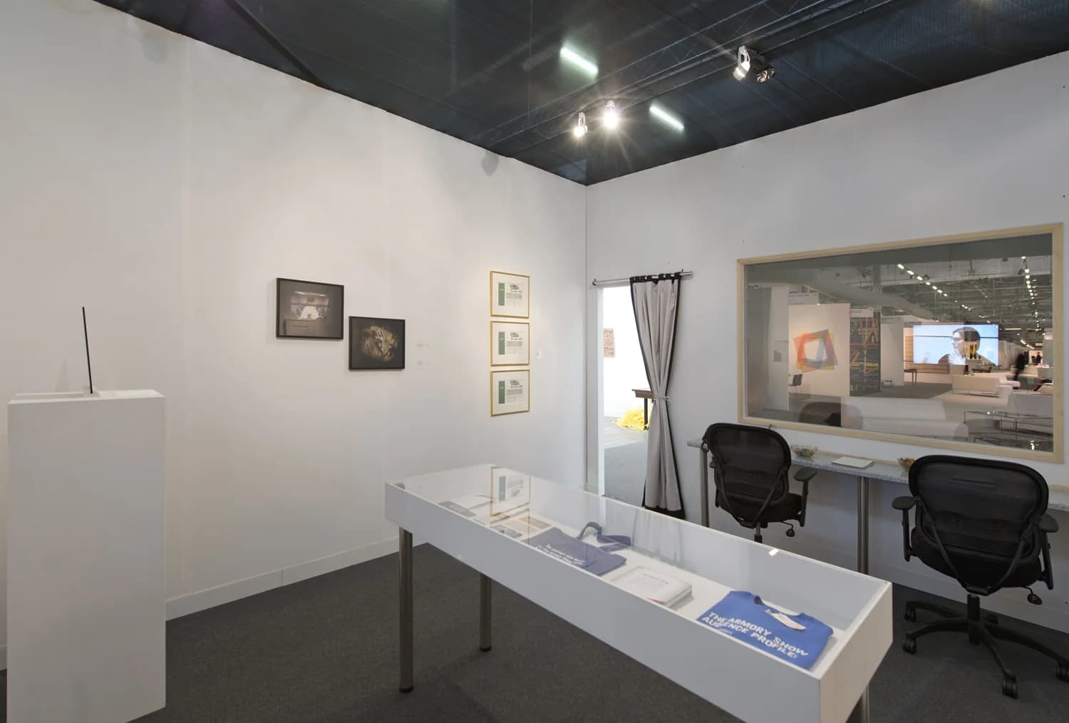 The Armory Show 2013