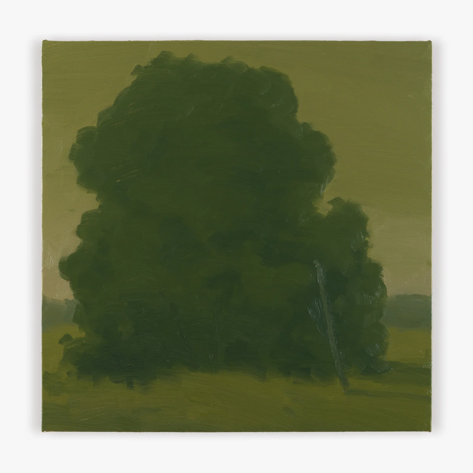 Large Tree with Pole