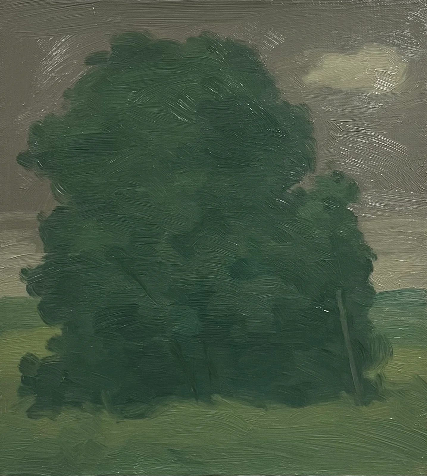 Moon and Trees