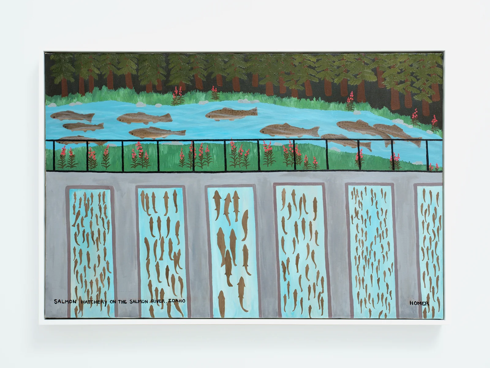 Salmon Hatchery On The Salmon River, Idaho