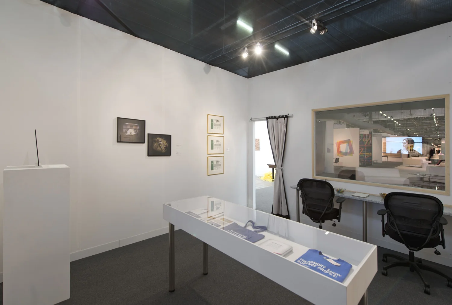 The Armory Show 2013
